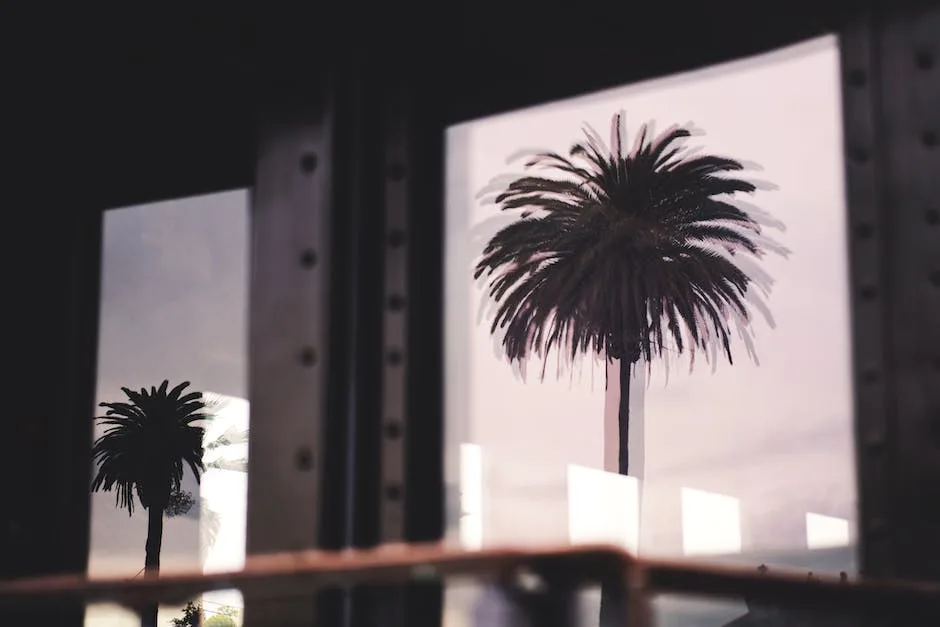 Can A Palm Tree Live Indoors? (Explained!)