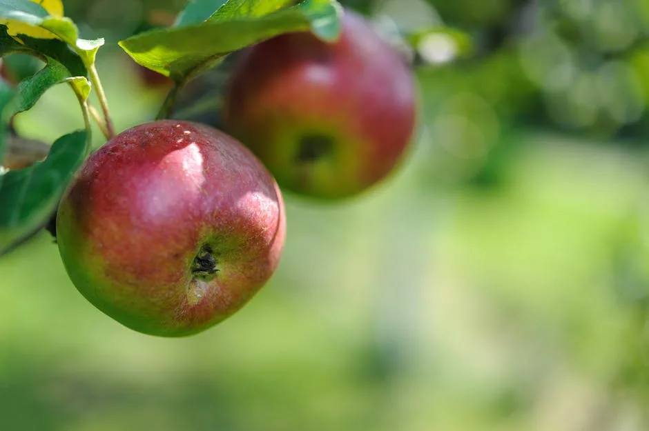 Can A Single Apple Tree Produce Fruit_1