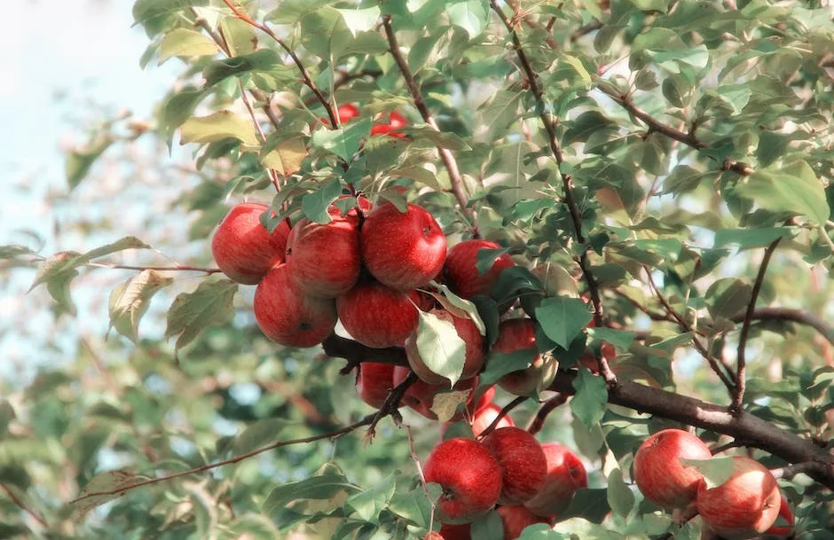 Can A Single Apple Tree Produce Fruit_2