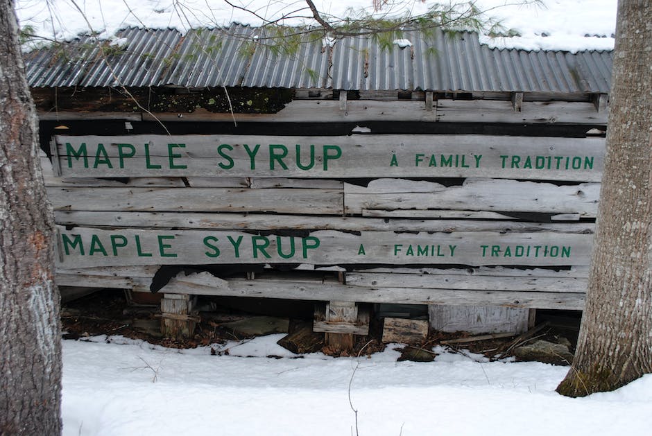 Can You Get Maple Syrup From A Japanese Maple Tree_2