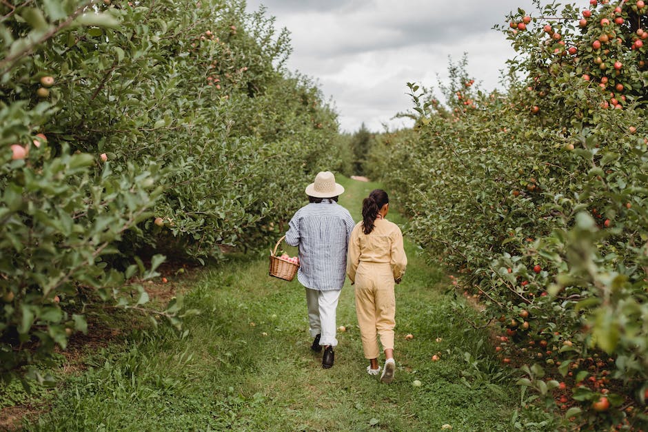 What Apple Tree To Plant With Honeycrisp_2