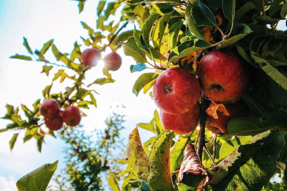 What Diseases Do Apple Trees Get_2