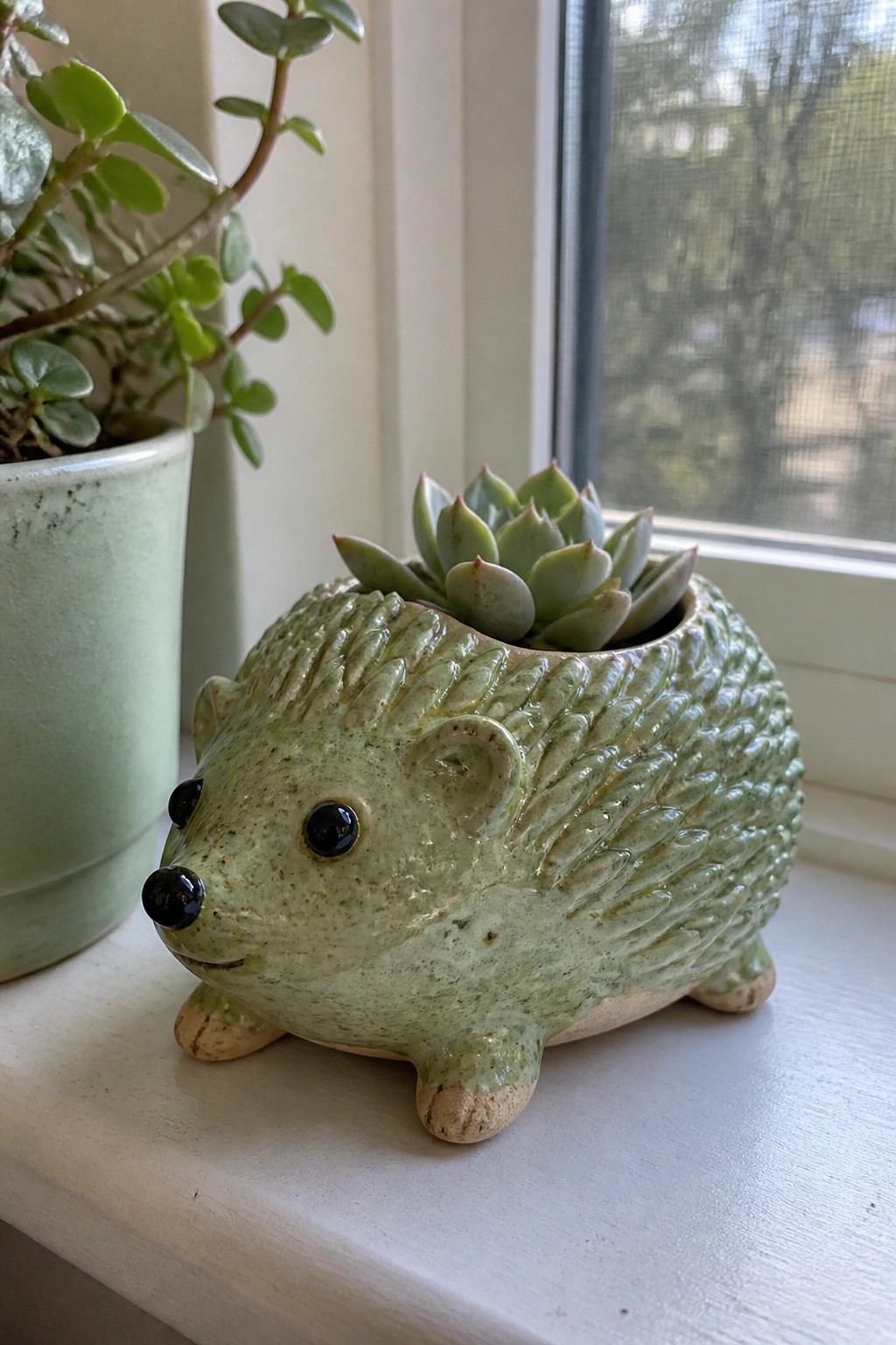 Green ceramic hedgehog planter with succulent on white windowsill beside leafy plant