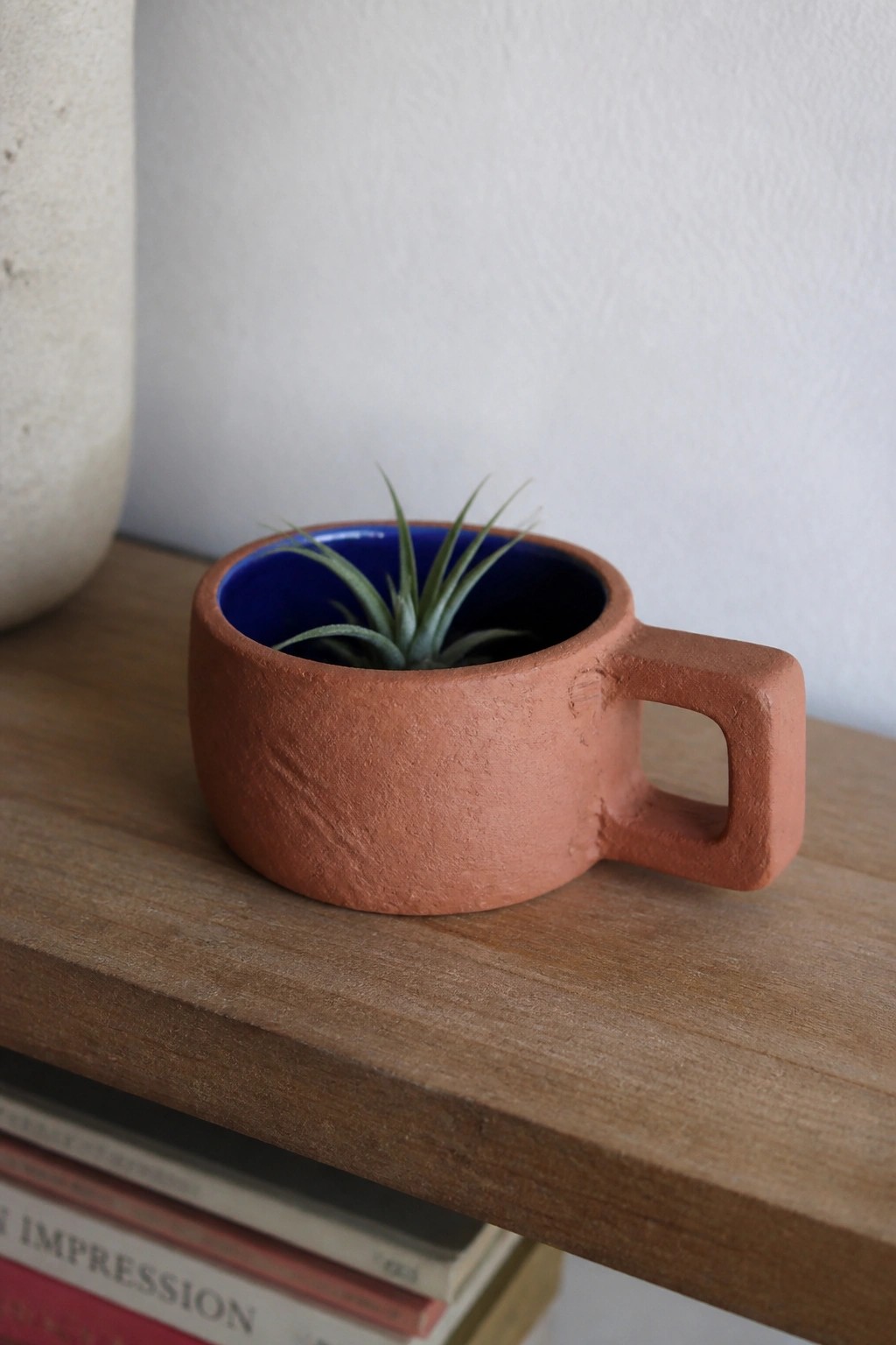 Terracotta cup planter with blue interior holding small air plant on wooden shelf