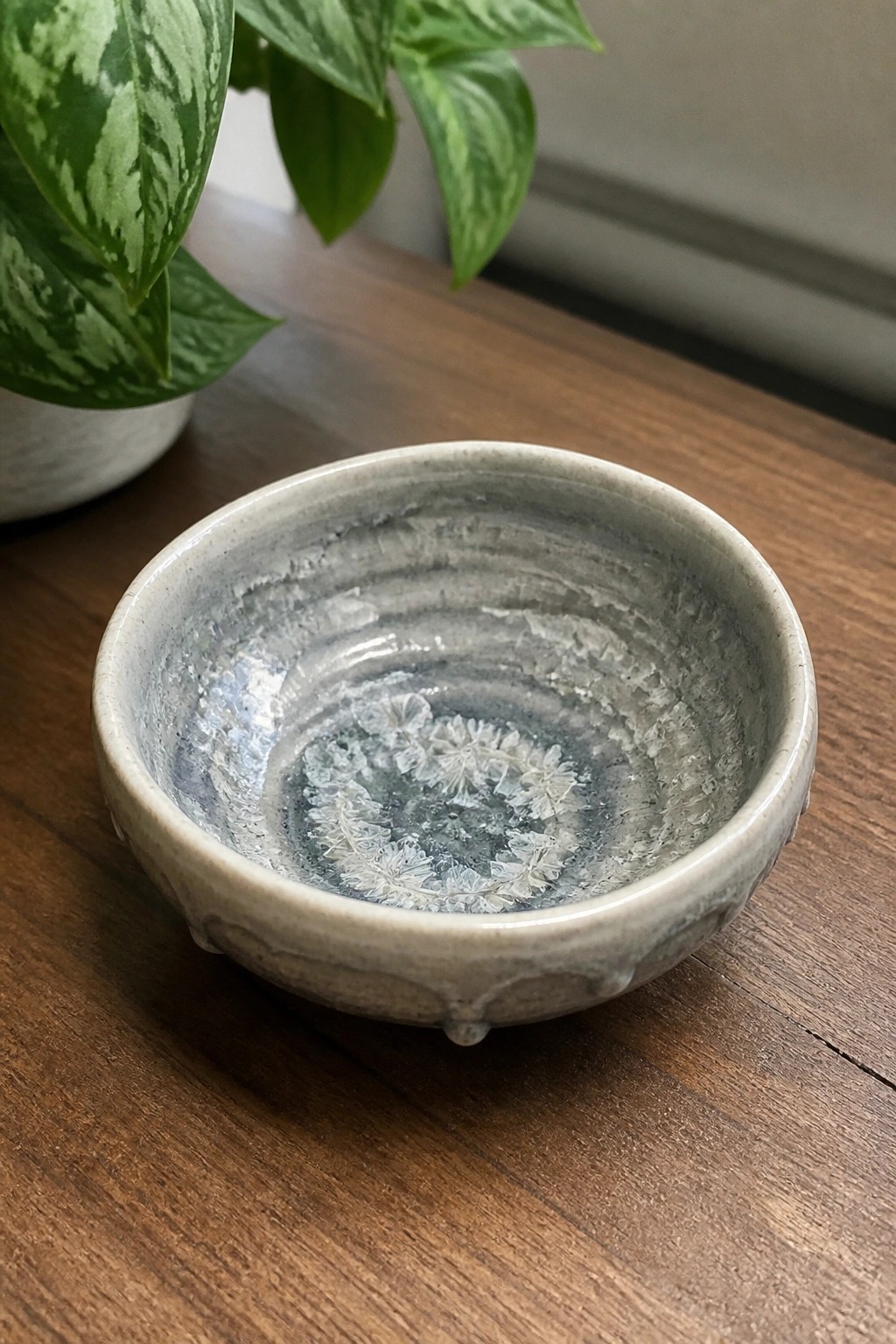 Small gray ceramic bowl with crystalline patterns on wooden table near green plant