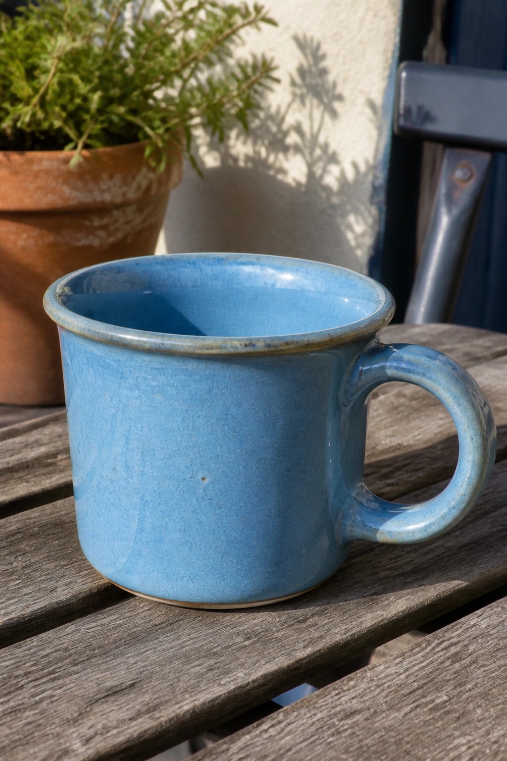 Blue ceramic mug on weathered wooden table beside potted plant in sunlight