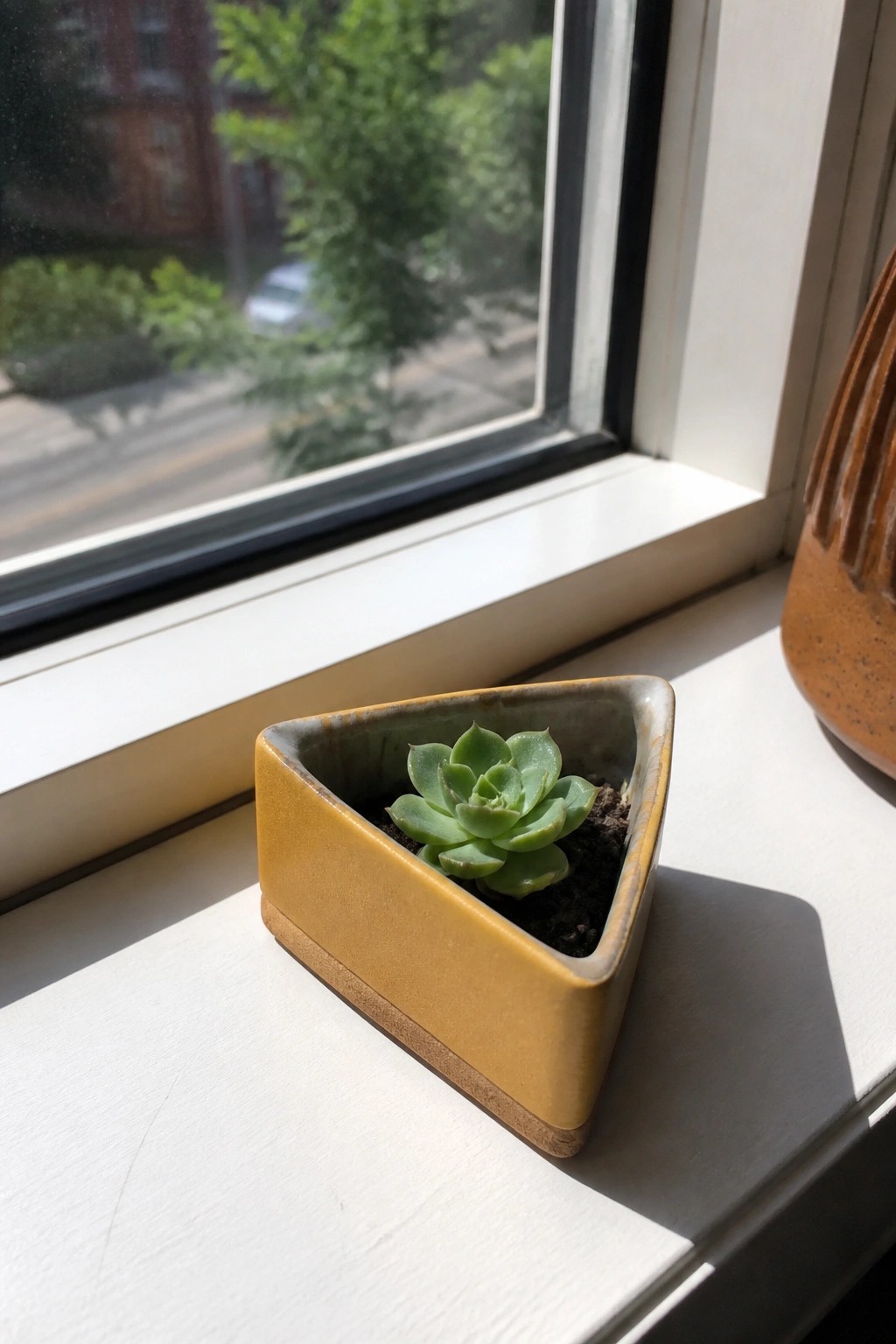 Green succulent in yellow triangular pot on sunlit white windowsill