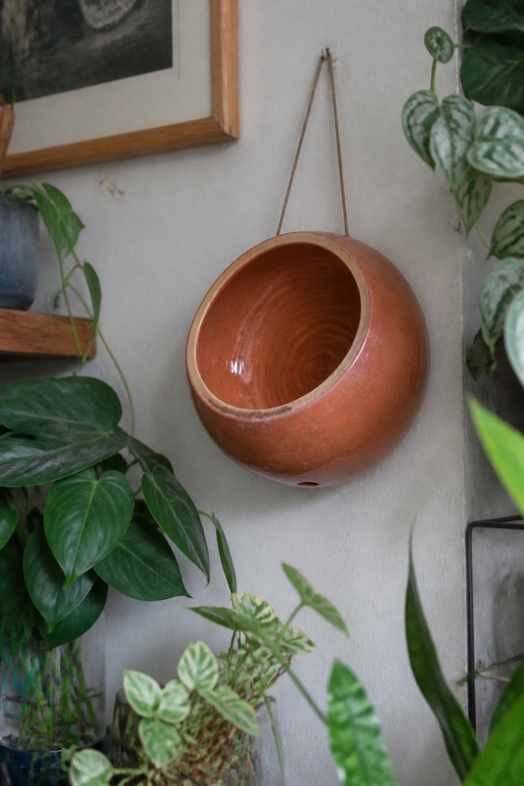Orange hanging ceramic pot on wall amid lush green houseplants