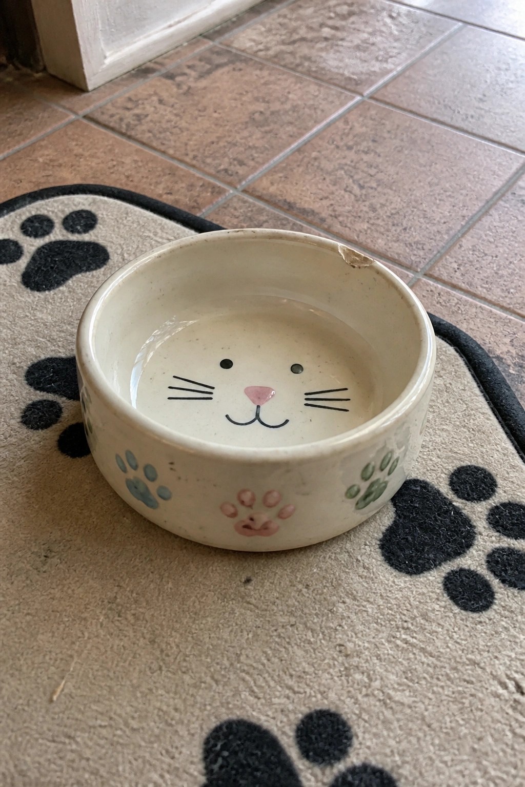 Ceramic cat face bowl with water on paw print mat