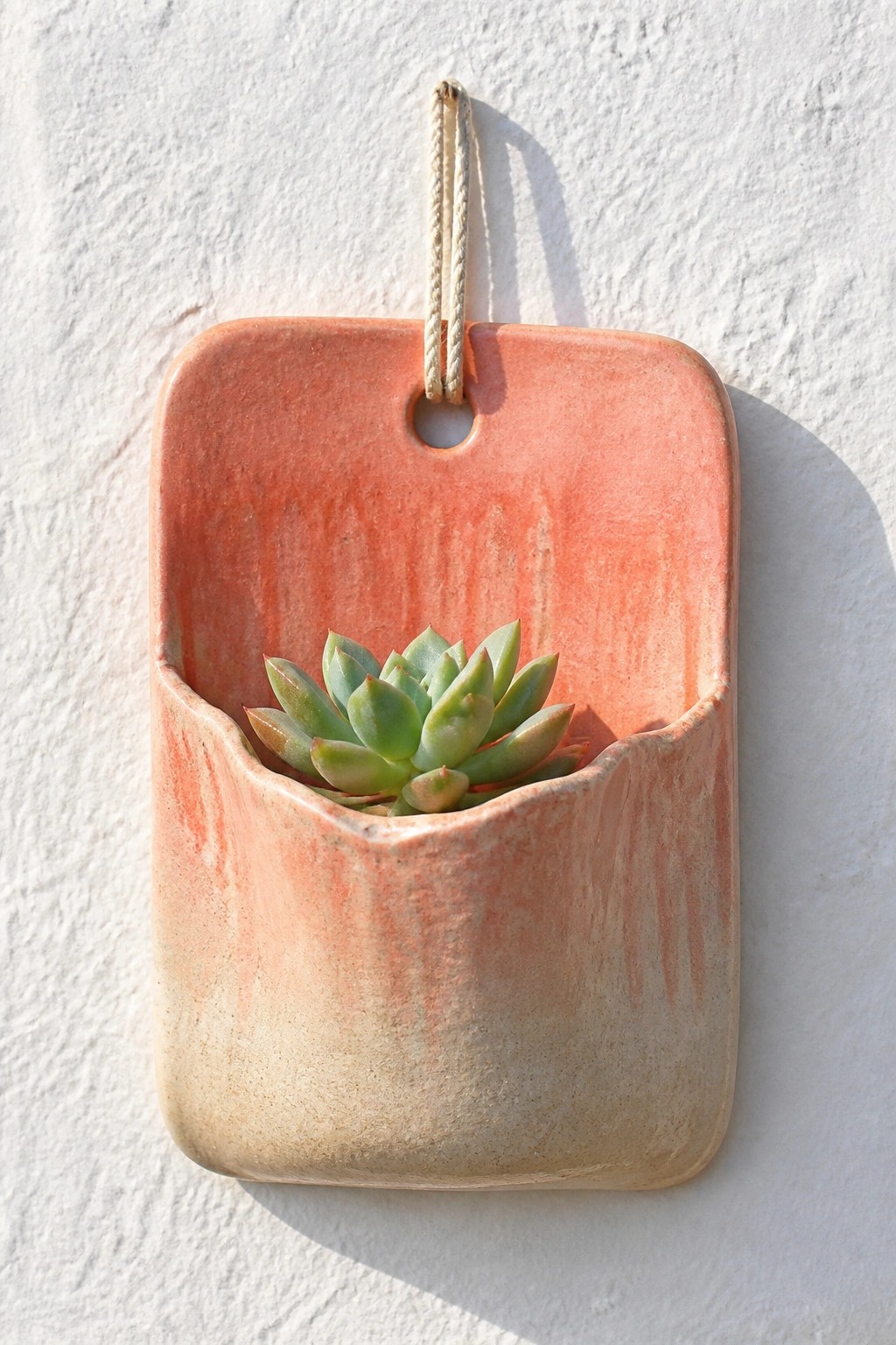 Pink ceramic hanging planter with green succulent on white wall