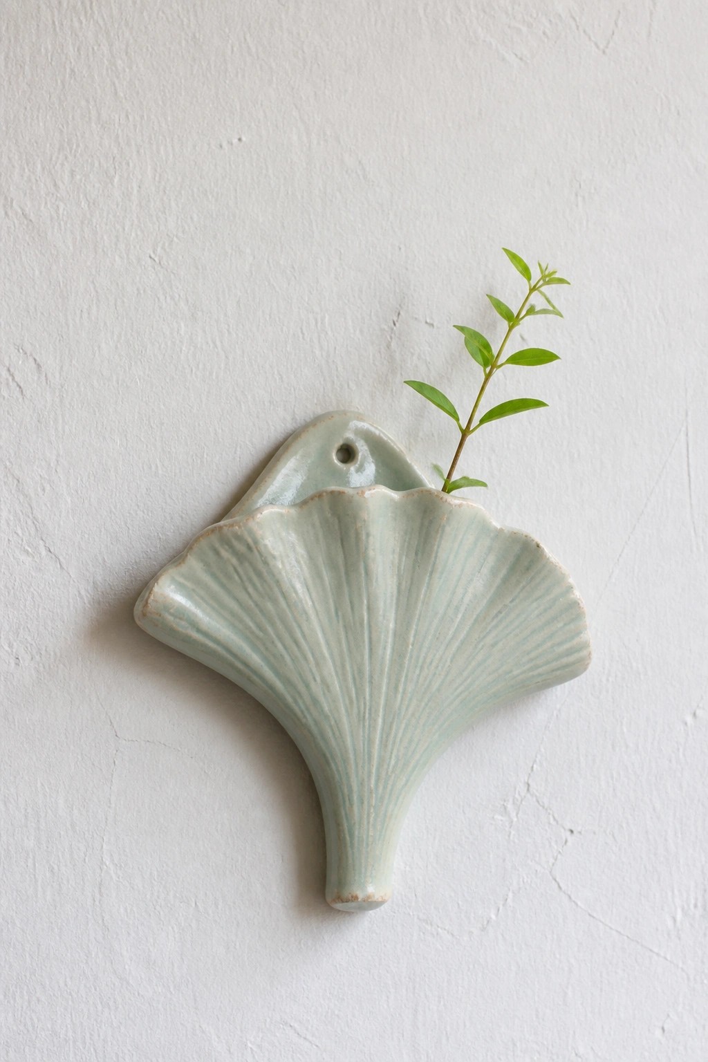 Celadon green ceramic ginkgo leaf wall vase with sprig on white wall