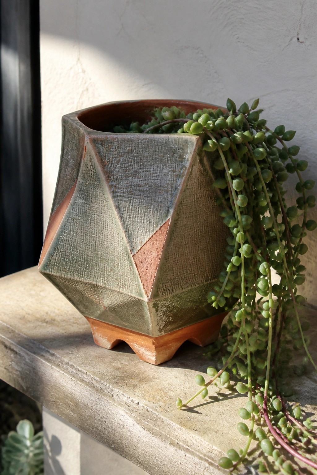 Geometric ceramic pot with trailing green succulent on sunlit concrete ledge