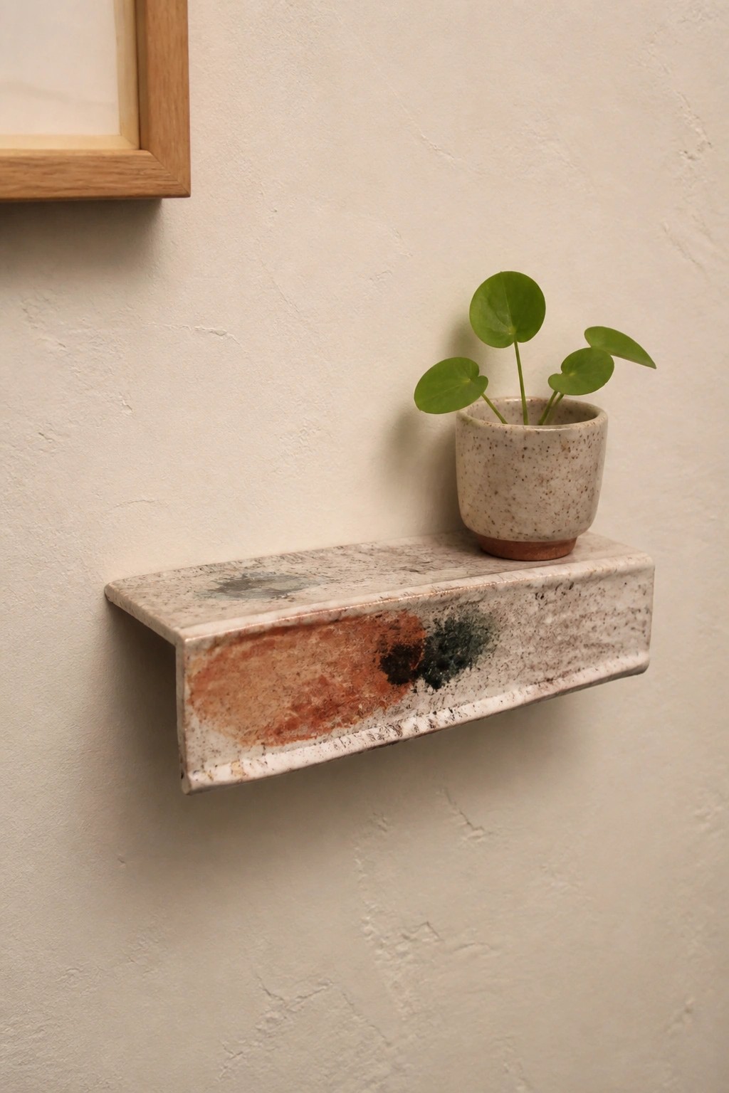 Round-leaved green plant in speckled pot on marbled ceramic wall shelf
