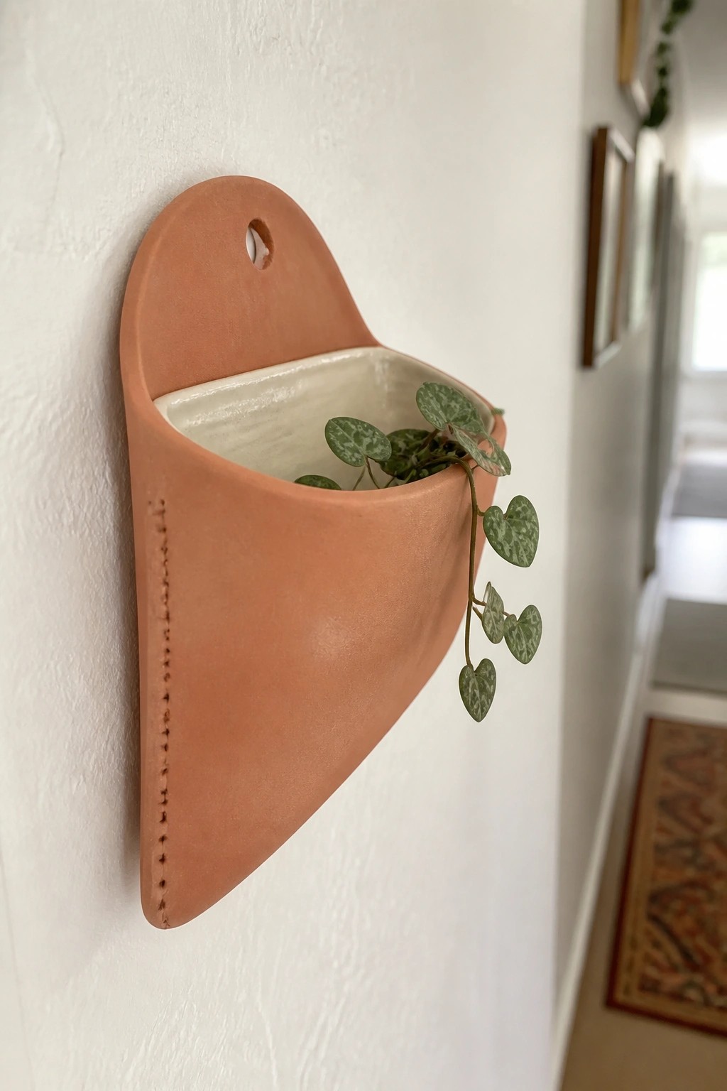 Terracotta wall pocket planter with trailing variegated heart-shaped leaves on white wall