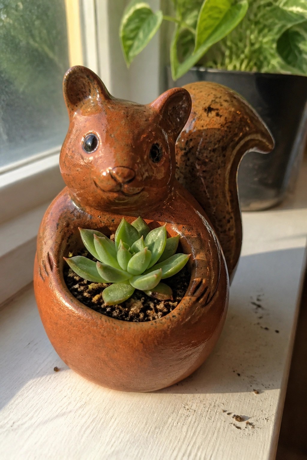 Brown ceramic squirrel planter with green succulent on sunny windowsill