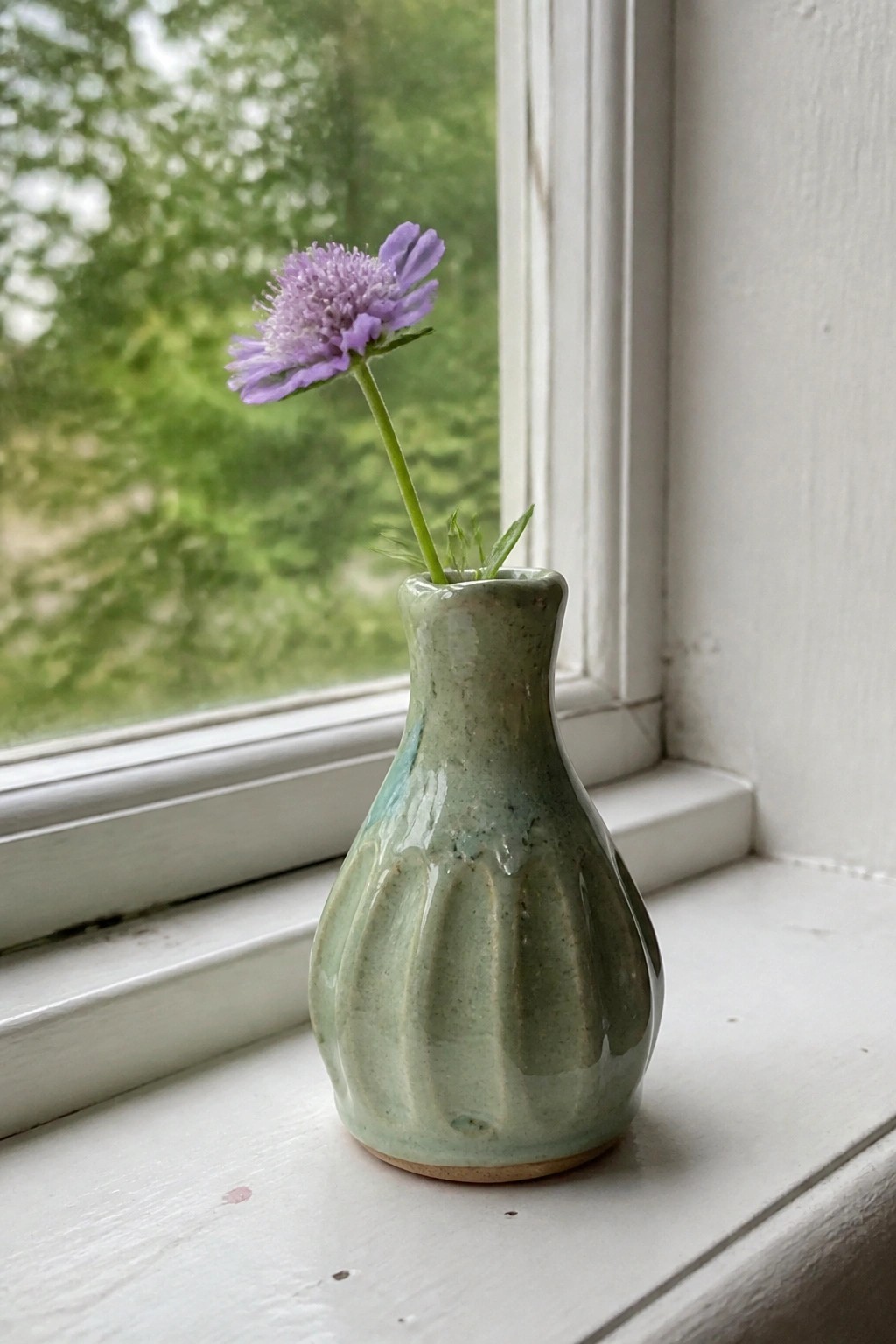 Small green ribbed ceramic vase with purple flower on white windowsill