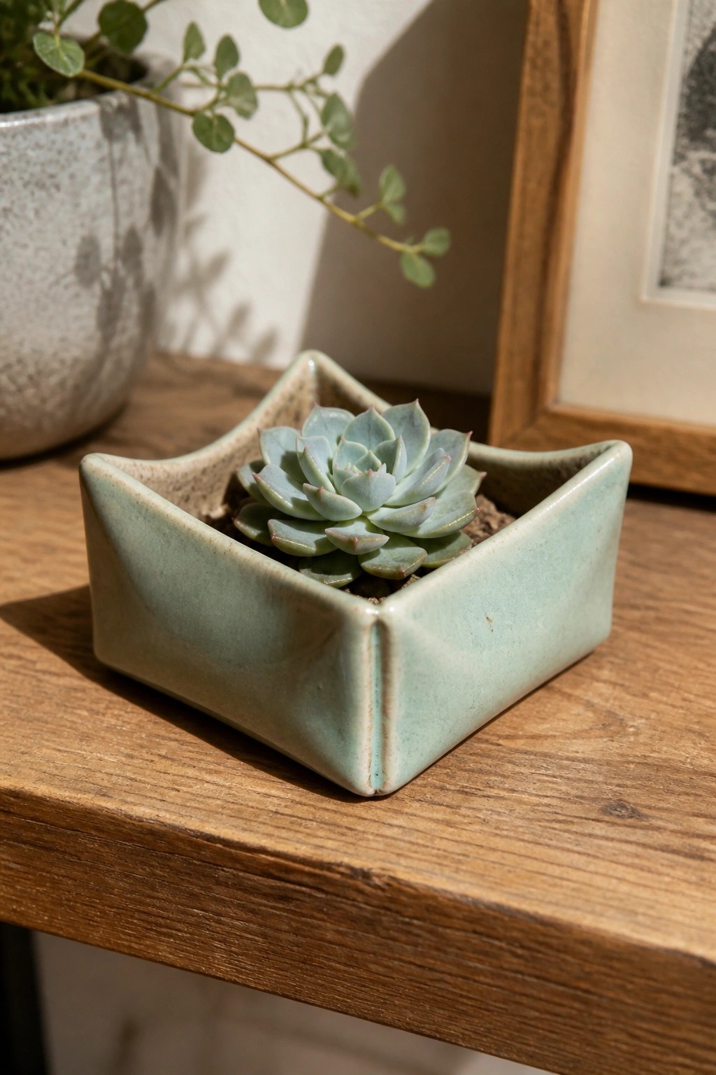 Light blue-green succulent in square mint ceramic pot on wooden table.