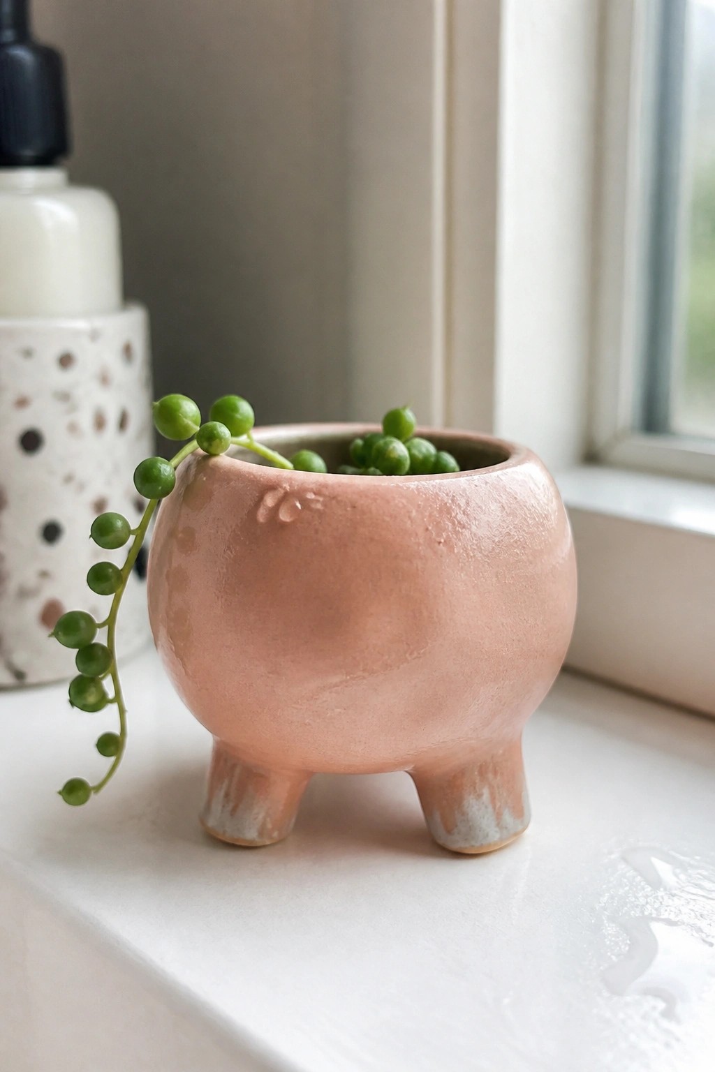 Pink three-legged ceramic pot with trailing string of pearls plant on windowsill.