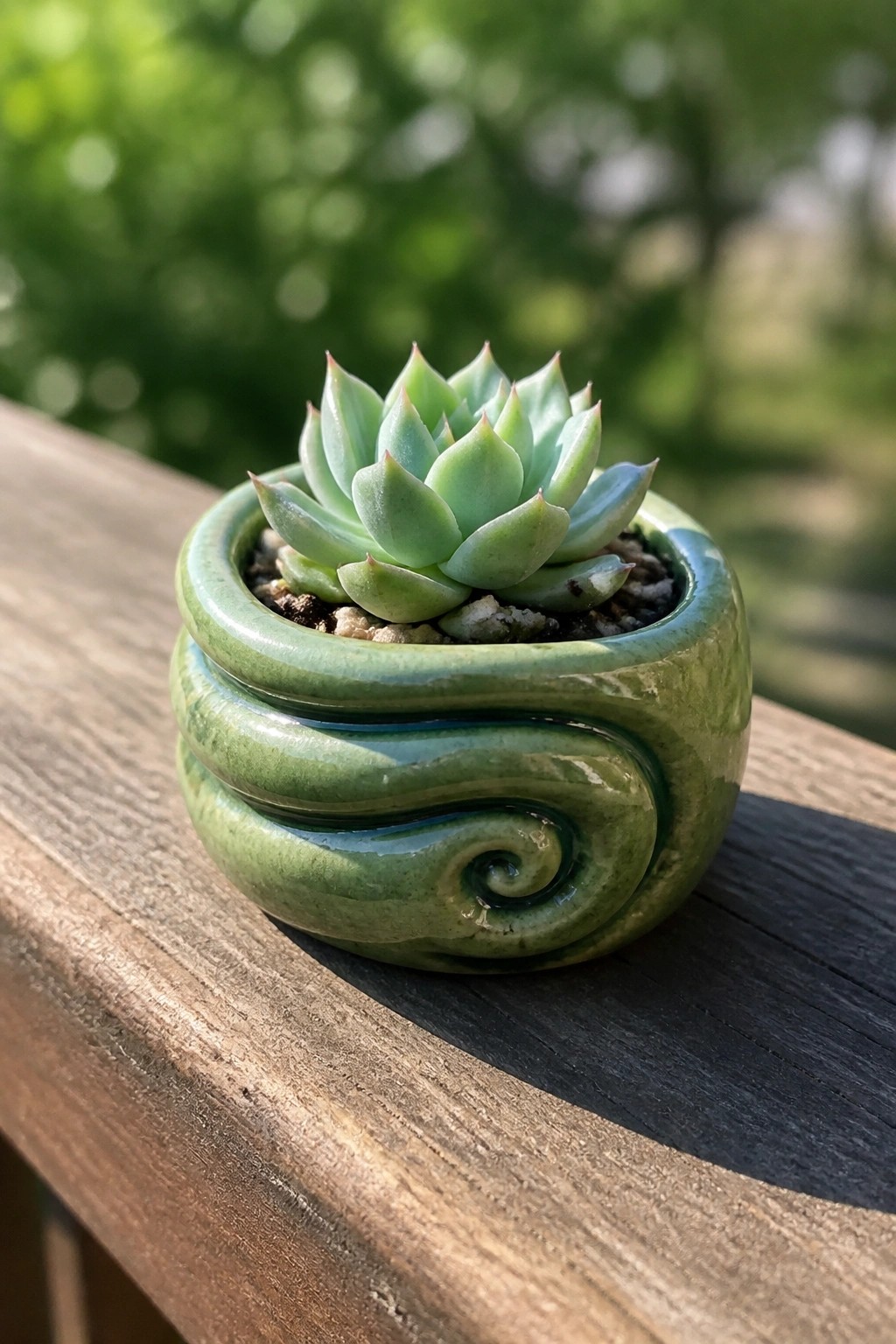 Small green succulent in a glossy swirled ceramic pot on wooden surface