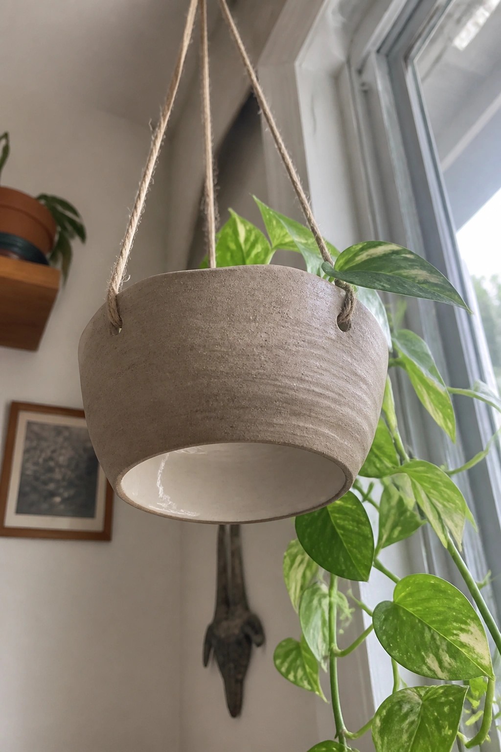 Hanging beige ceramic planter with three ropes and trailing variegated pothos plant.