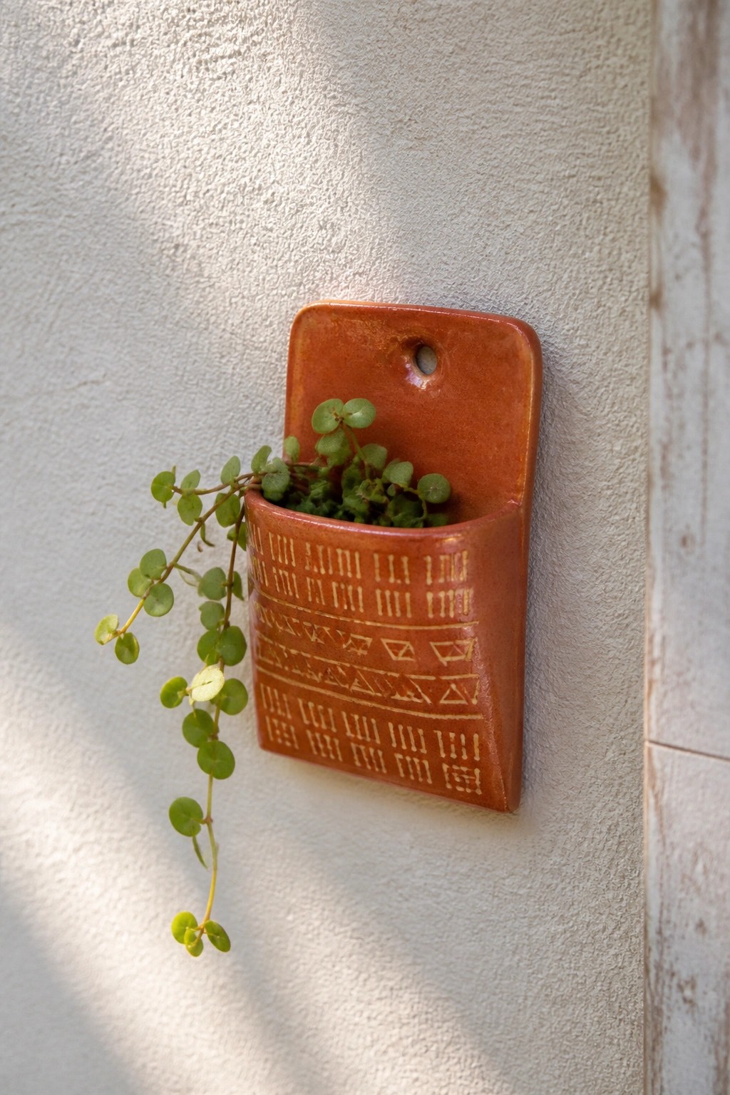 Orange ceramic wall planter with etched patterns holding trailing green plant on textured wall.