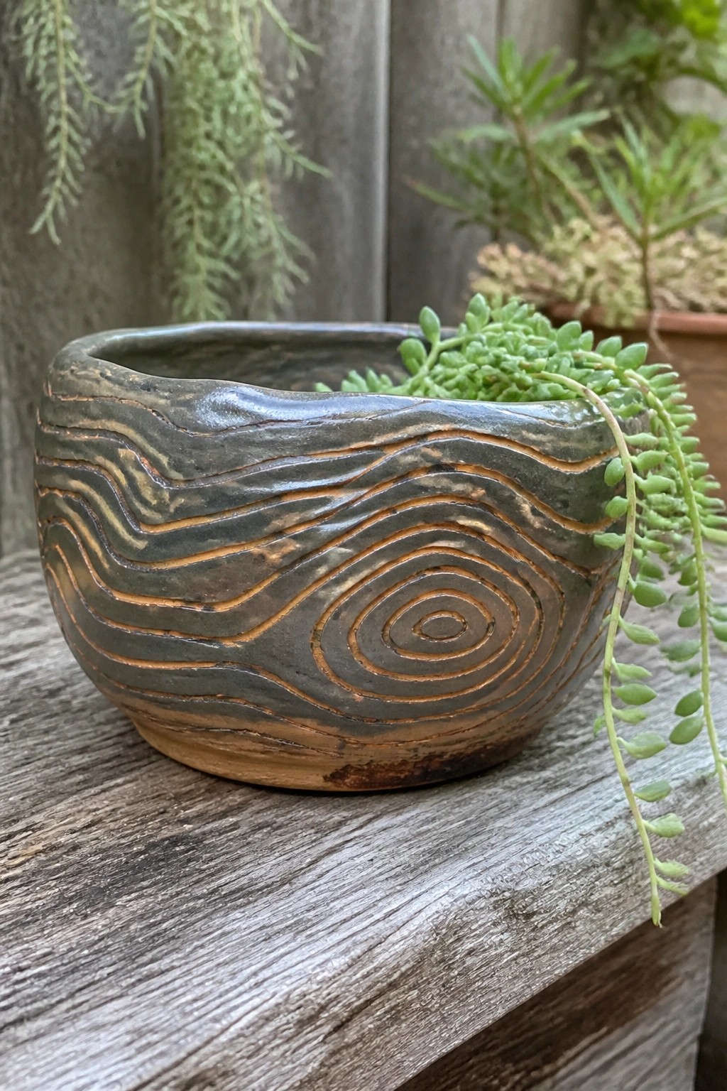 Gray-brown ceramic bowl with carved waves and spirals holding trailing green succulent.