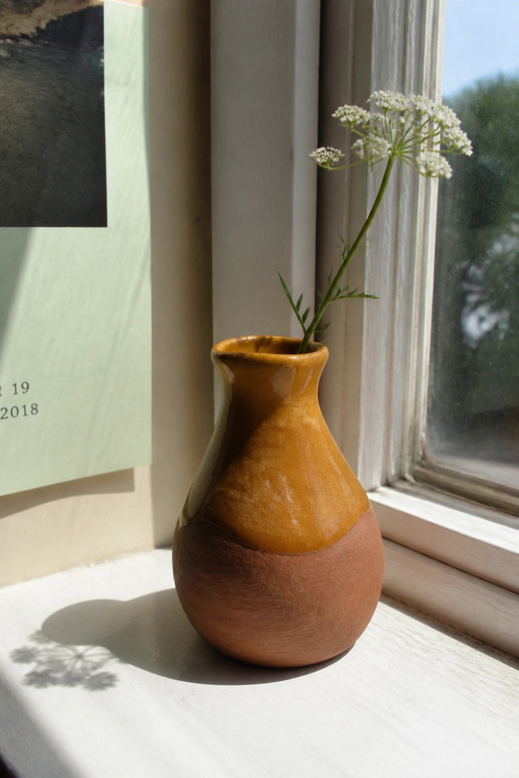 Two-toned ceramic vase holding white wildflower on sunlit windowsill with shadow