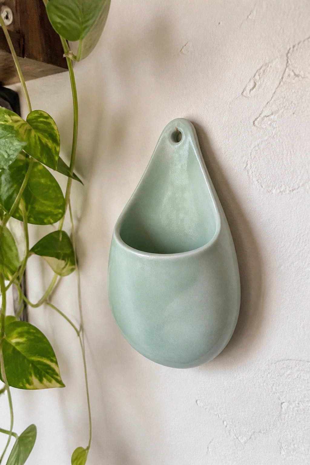 Mint green teardrop ceramic wall vase hanging beside variegated plant on white wall