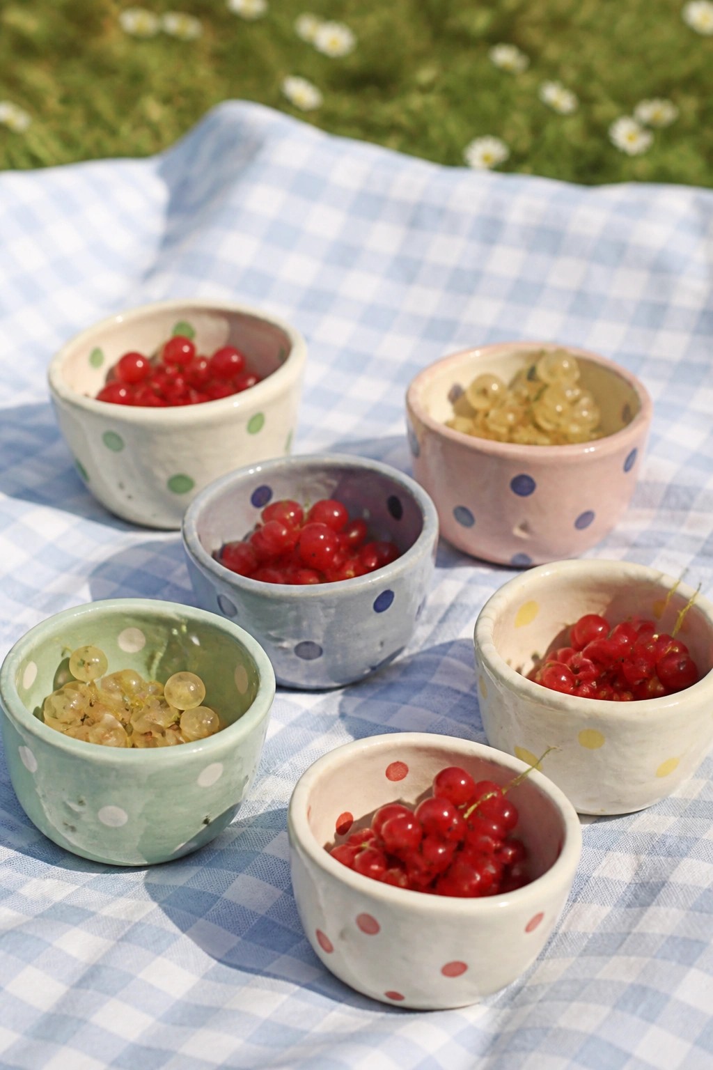 Colorful polka-dotted bowls of red and white currants on checkered picnic blanket