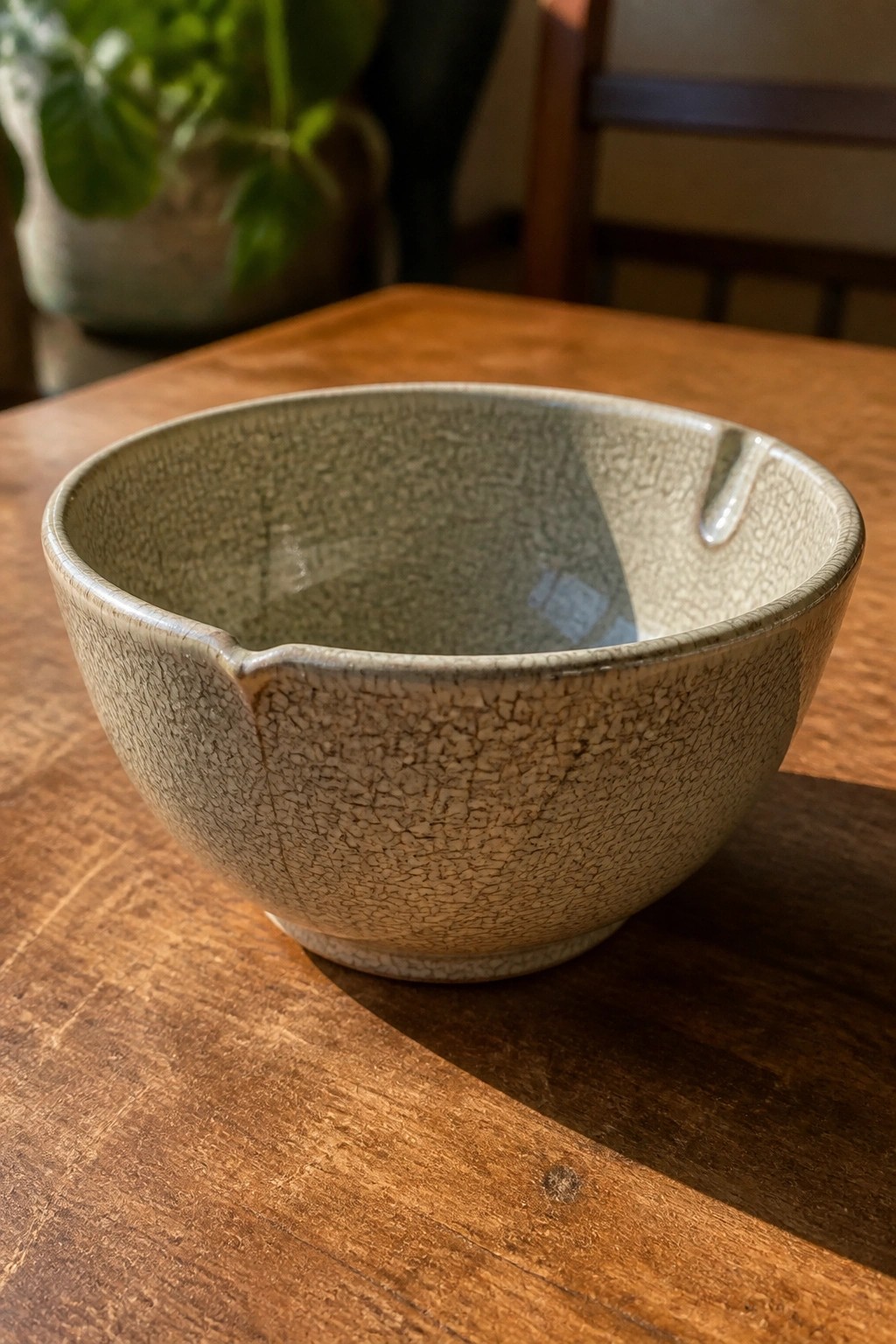 Crackled gray ceramic bowl with spout on wooden table near plant