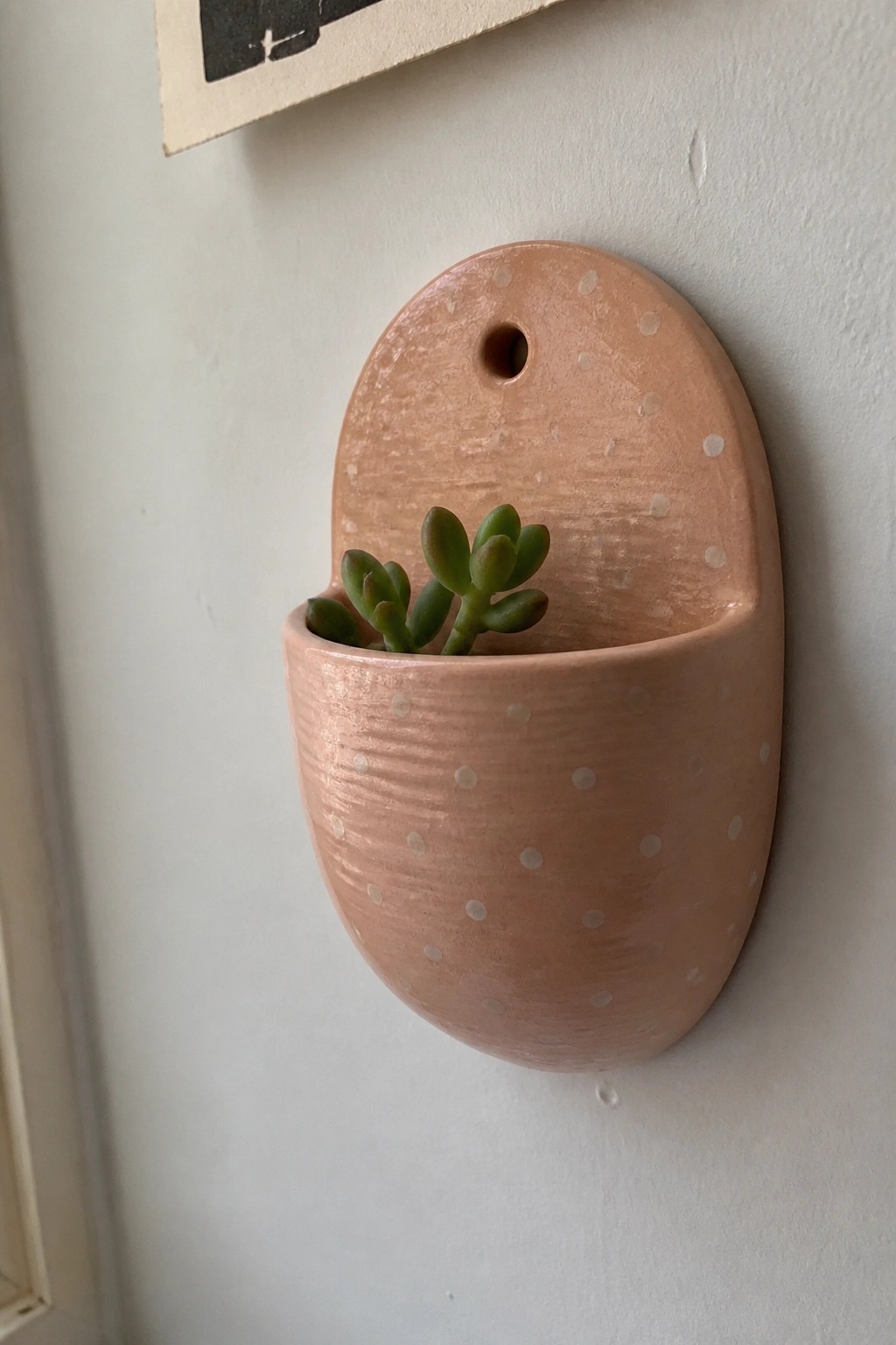 Pink polka-dotted ceramic wall planter holding a small green succulent plant