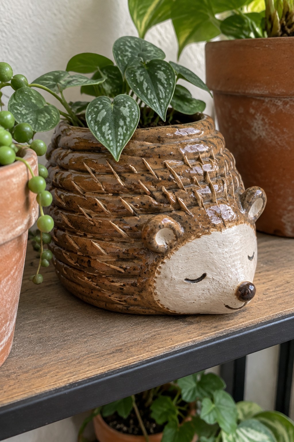 Ceramic hedgehog planter with white face holding a plant on wooden shelf