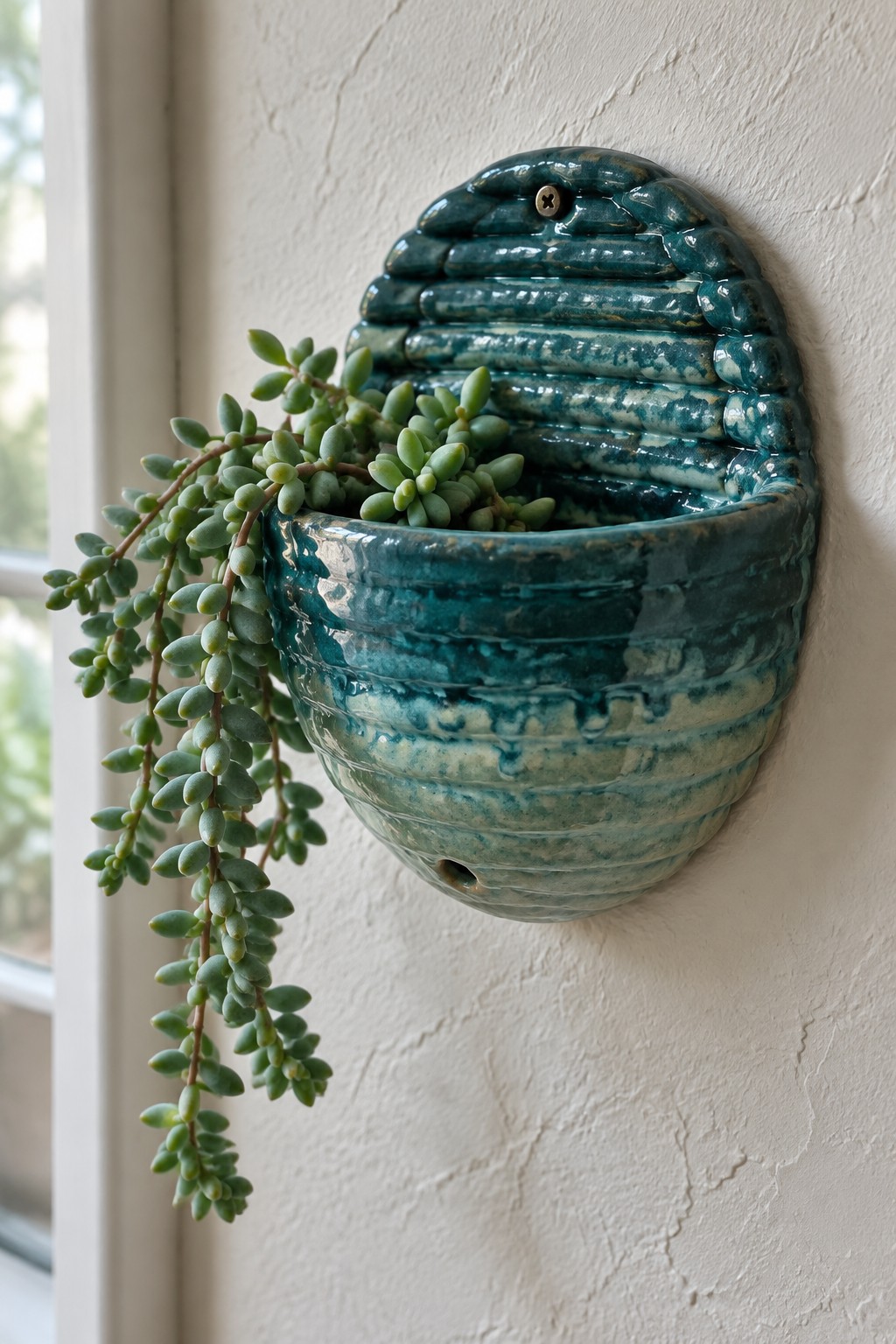 Teal ribbed ceramic wall planter with trailing green succulent on white wall