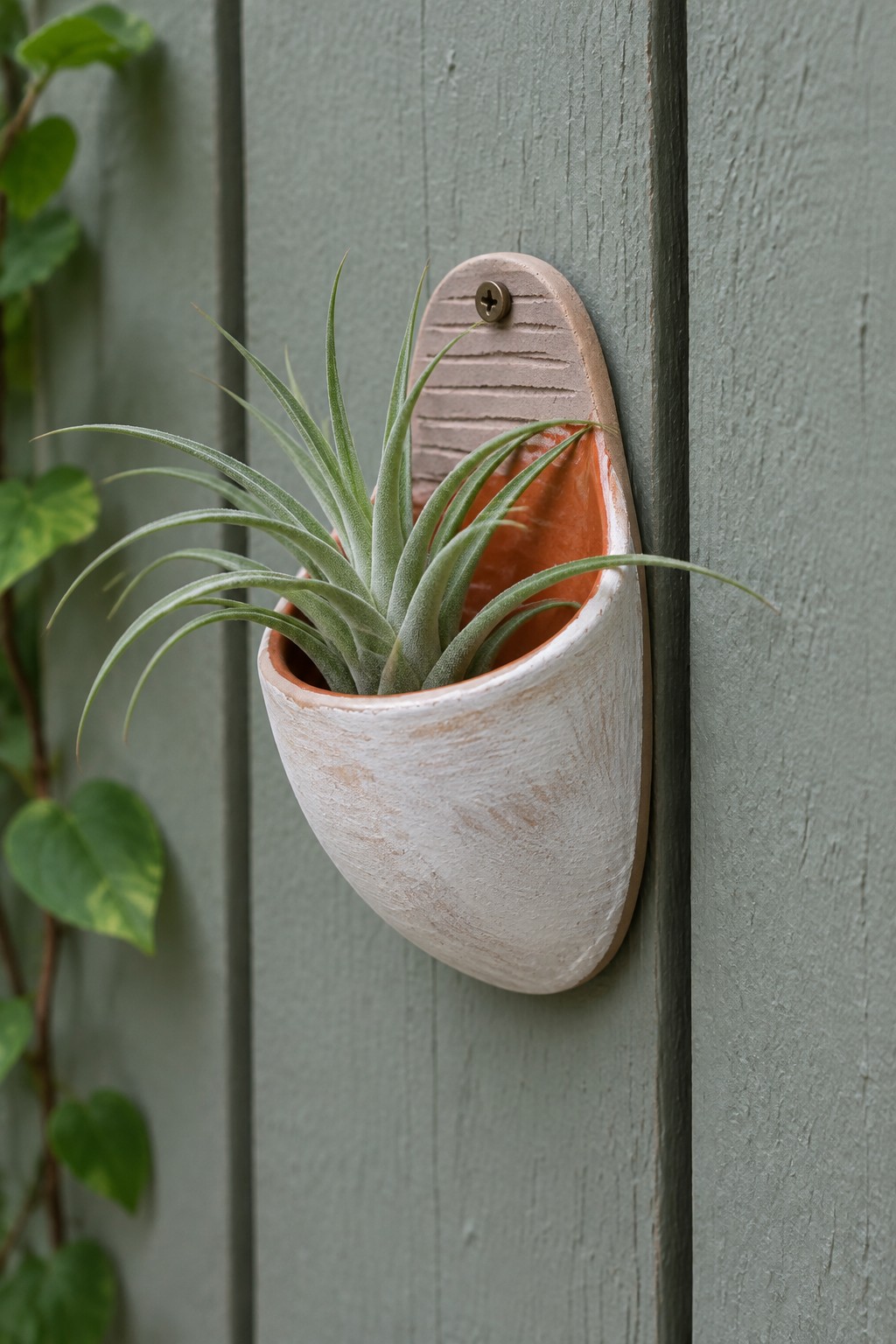 White ceramic wall planter with green air plant on sage wooden siding