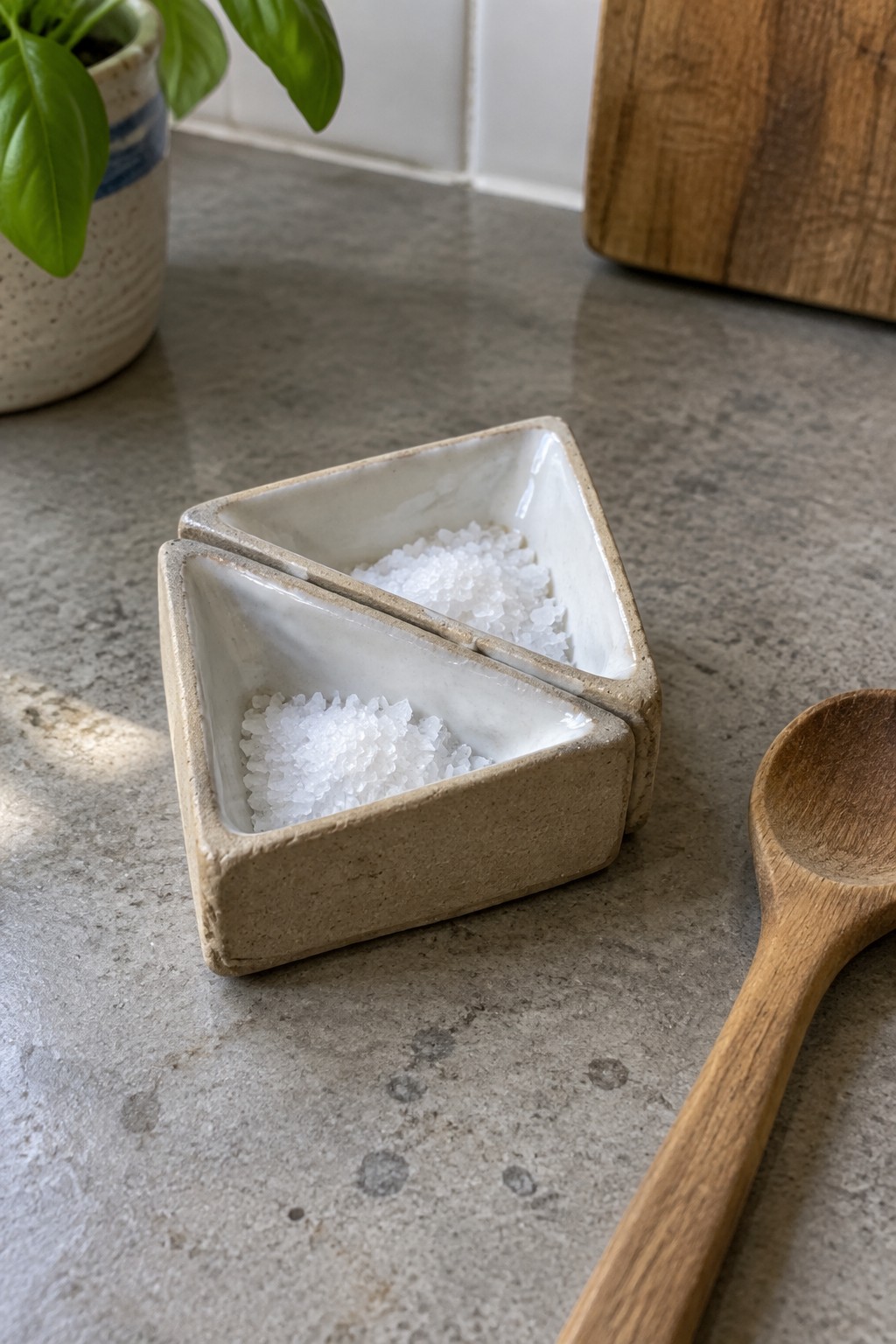 Triangular two-compartment ceramic dish filled with salt beside wooden spoon
