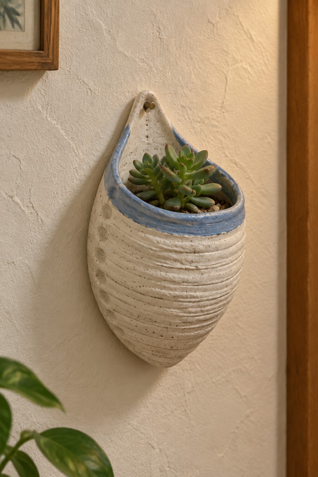 White and blue ceramic wall planter with green succulent on textured wall